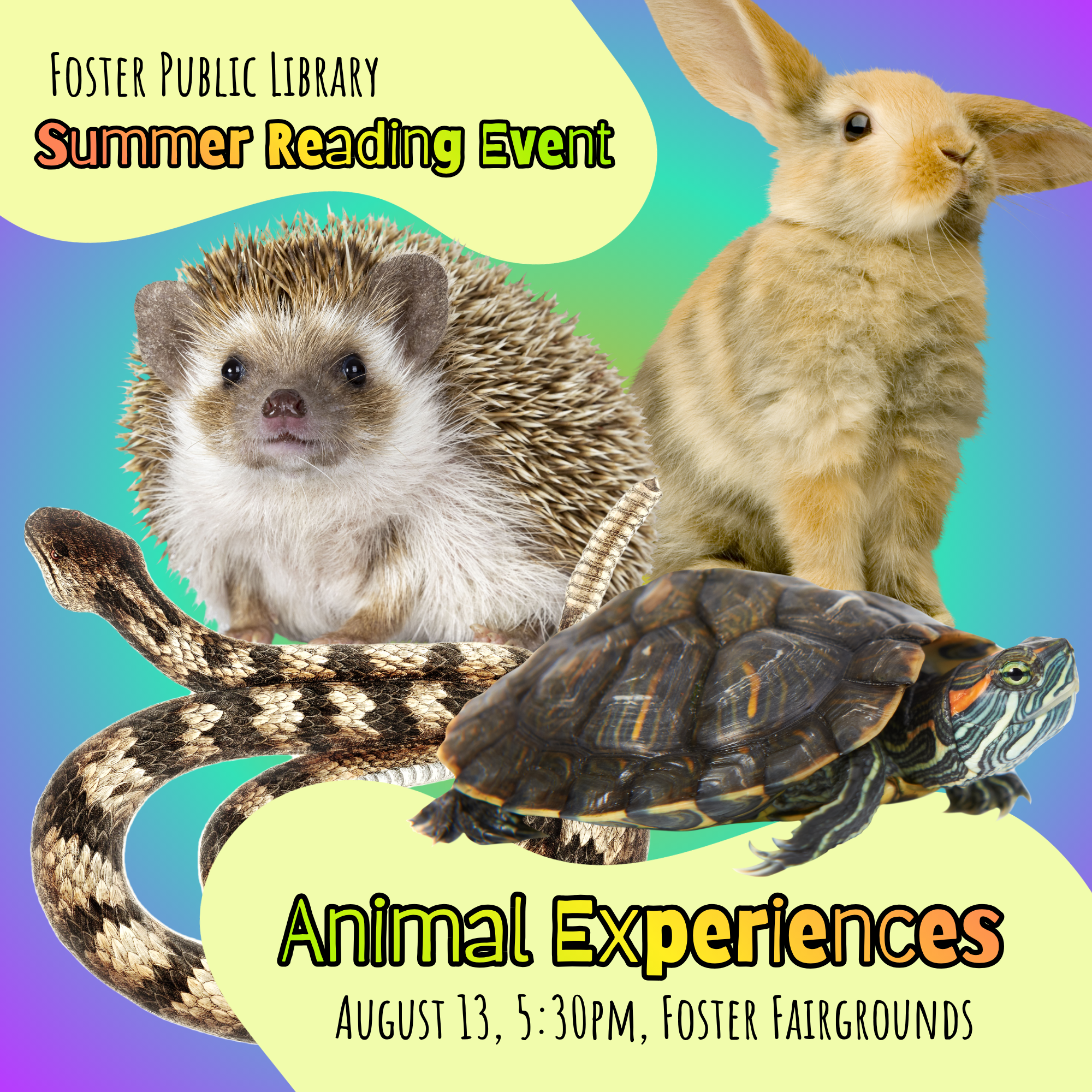 Animal Experiences