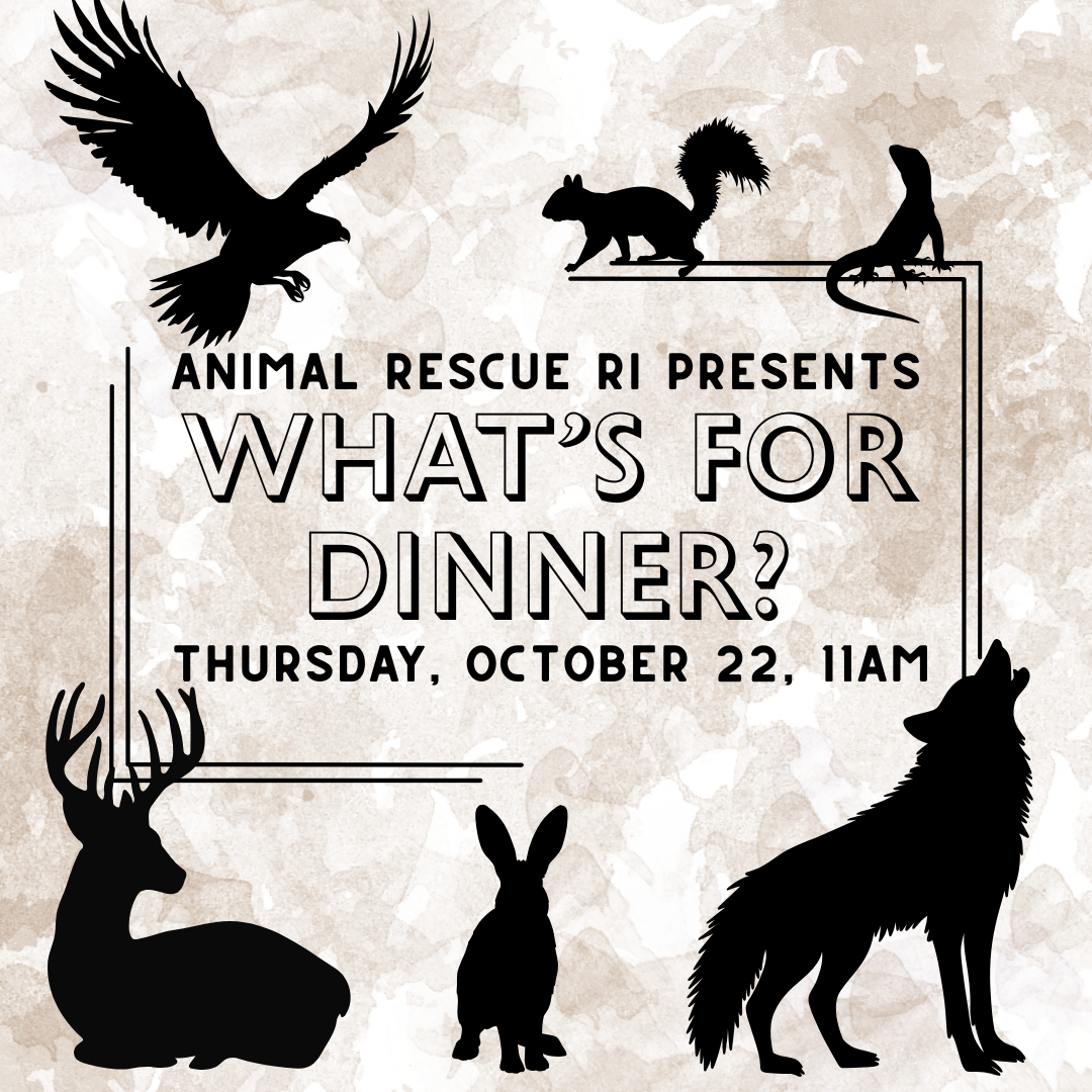 Senior Days: What’s for Dinner? with Animal Rescue RI